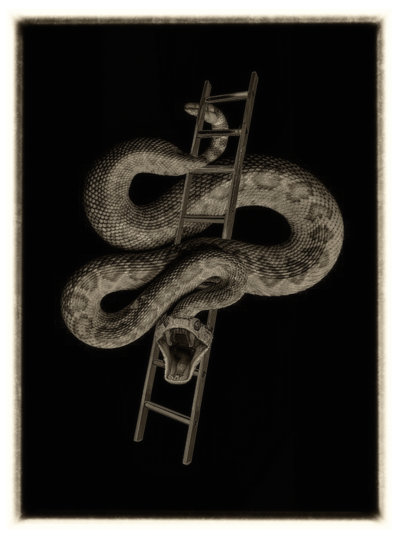 Mike Coles - snakes and ladders