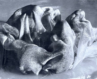 Judith Devons - shrouded figures
